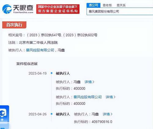 科創圈風光不再 從億萬富豪到失信名單的背后