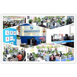 重慶彭水網(wǎng)站建設(shè)與軟件開發(fā) 網(wǎng)沃網(wǎng)絡(luò)的綜合服務(wù)優(yōu)勢